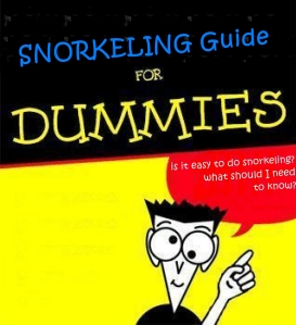 Snorkeling Guide part2