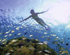 Swim slowly and swim at a steady comfortable pace to conserve your energy. Snorkeling is not a race.